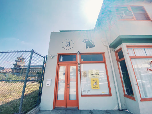 Welcome to Paper Plant Co