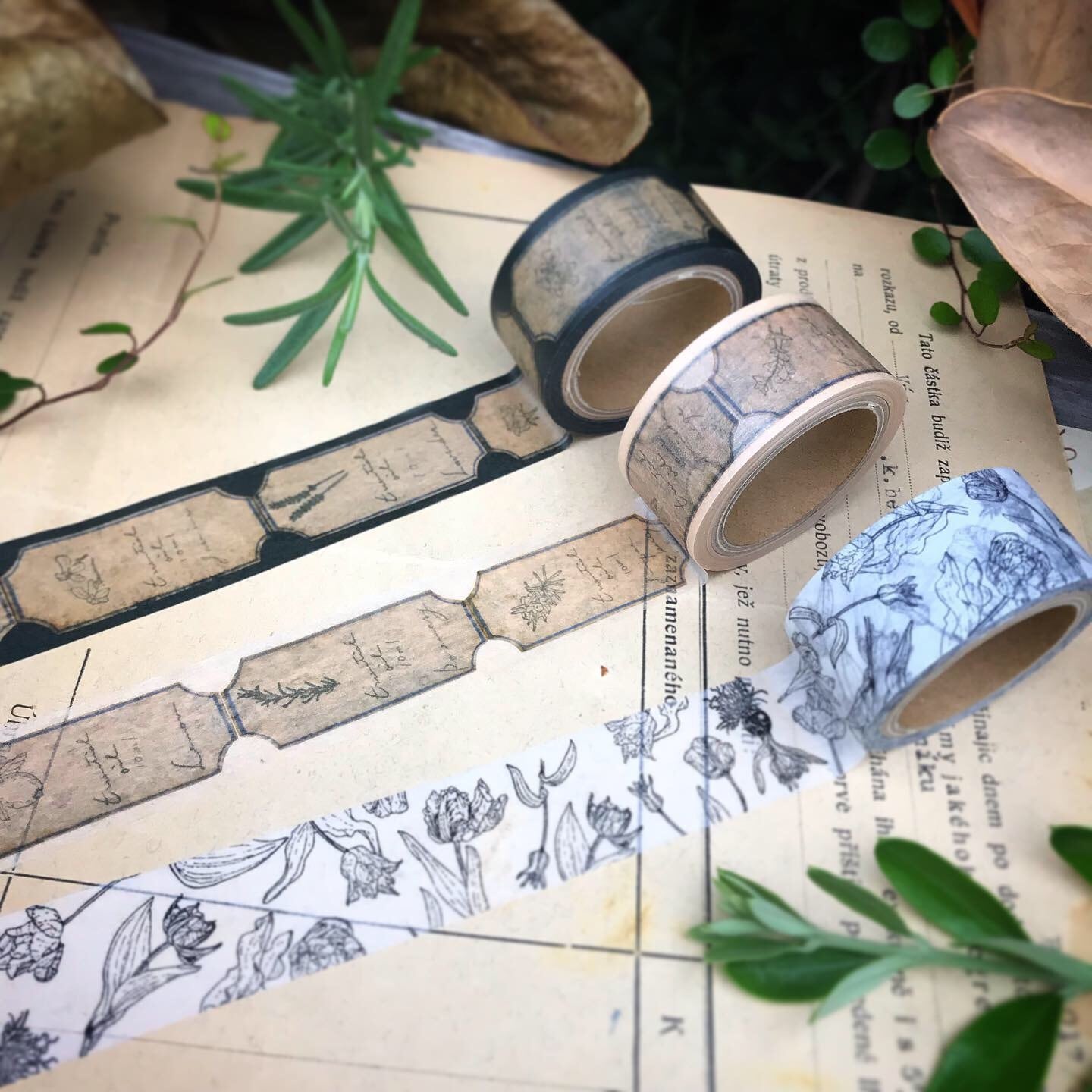 HUTTE Apothecary Essential Oil Washi Tape Beige · Papier Platz