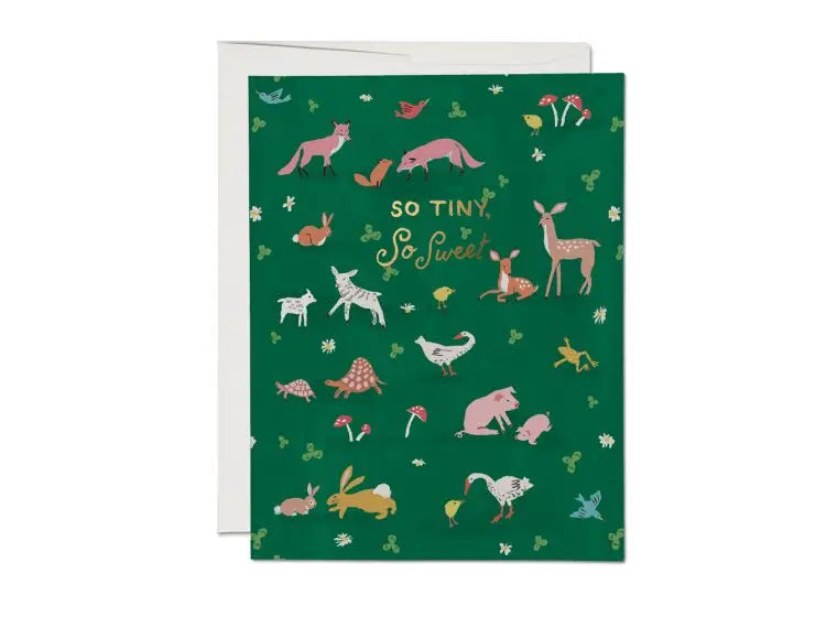 Tiny Animals Baby Card · Red Cap Cards