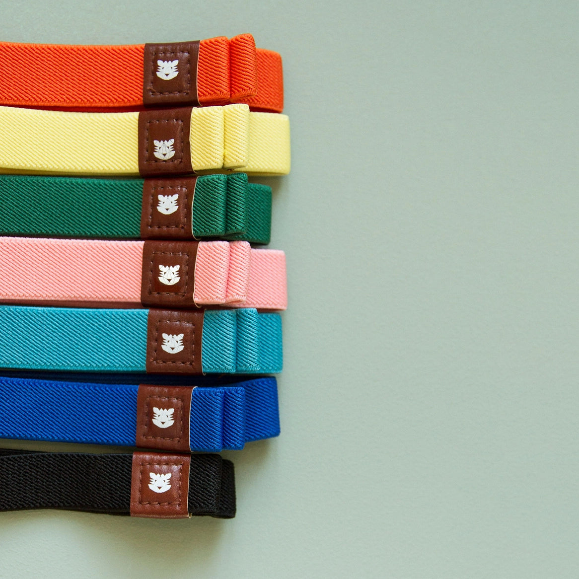 The Traveler's Elastic Band / Dublin · Papier Tigre