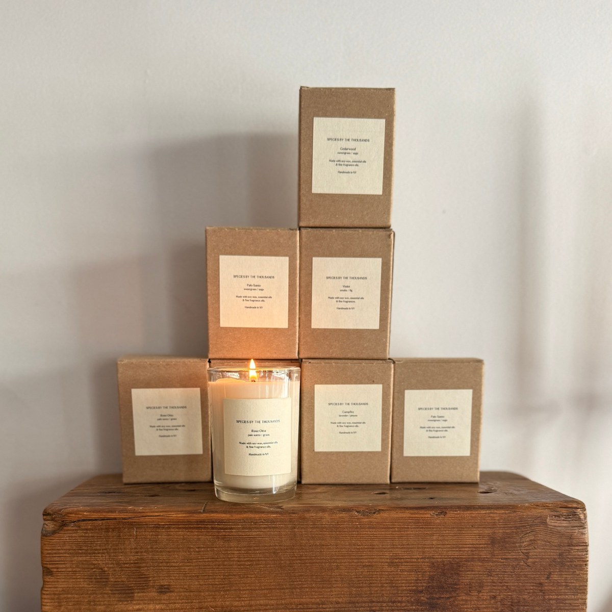Santal, Cardamom + Amber Handcrafted Scented Soy Candle · Species by the Thousands