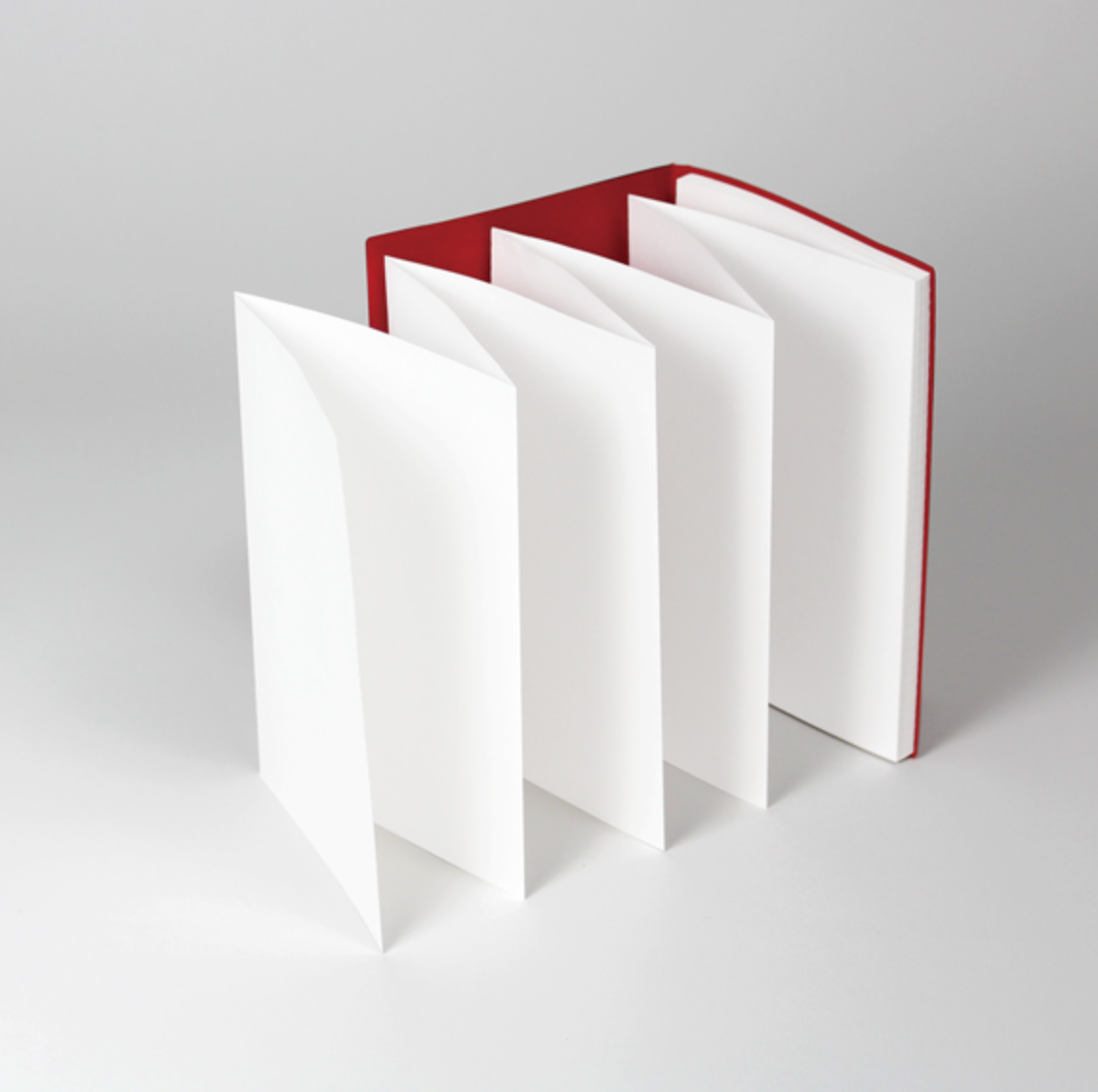 Accordion Notebook A5 +lab