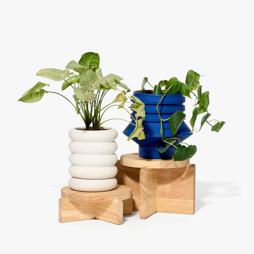 Pedestal Set / Natural · Areaware