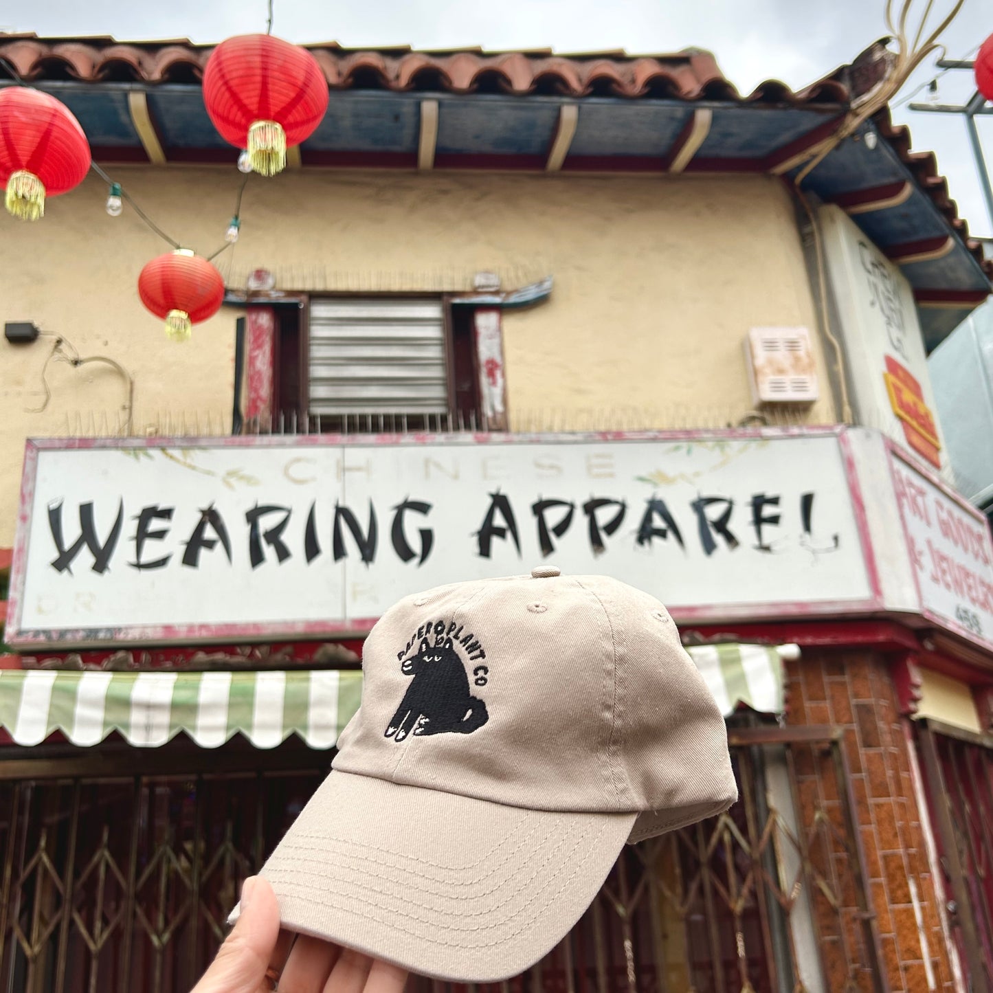 Paper Plant Co. Original Hat - Logo