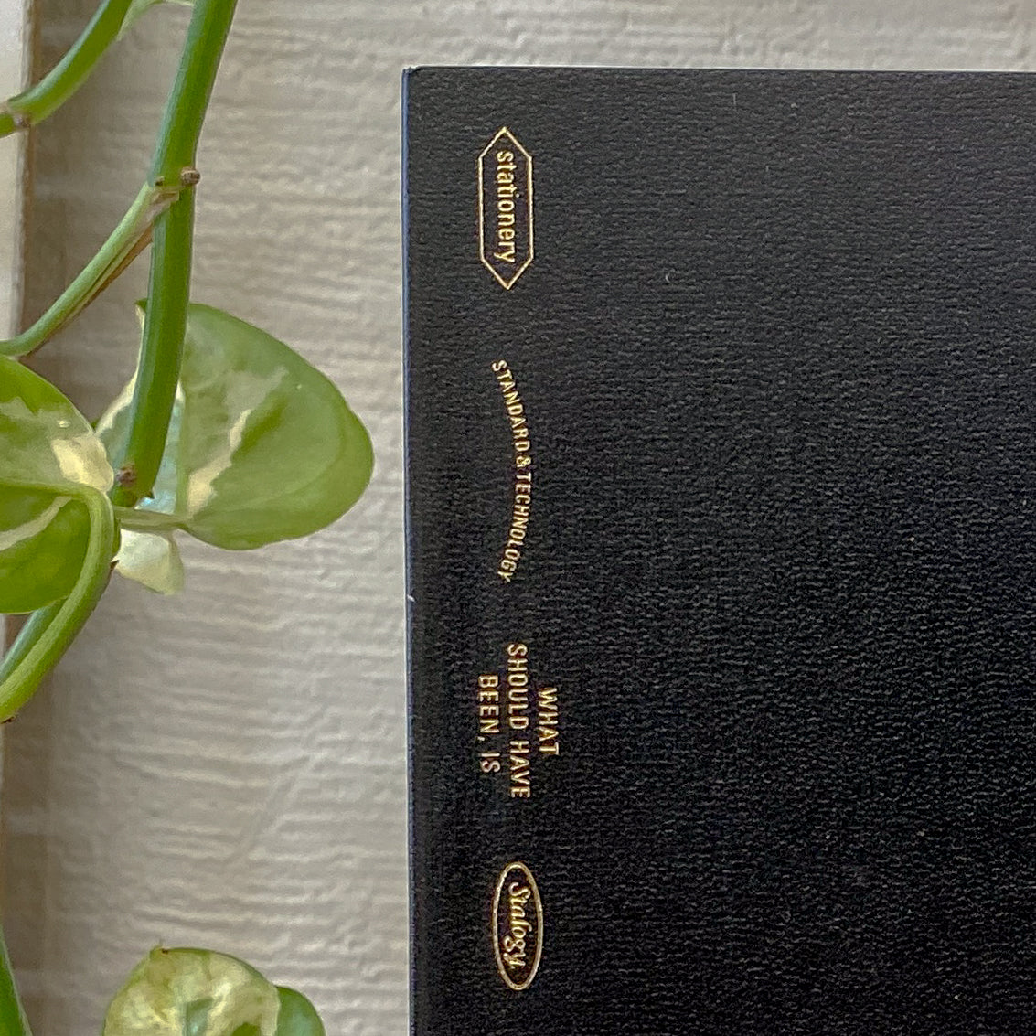 Bungu Vincent B6 Black Stalogy 365 Days Notebook · Stalogy x Paper Plant Co