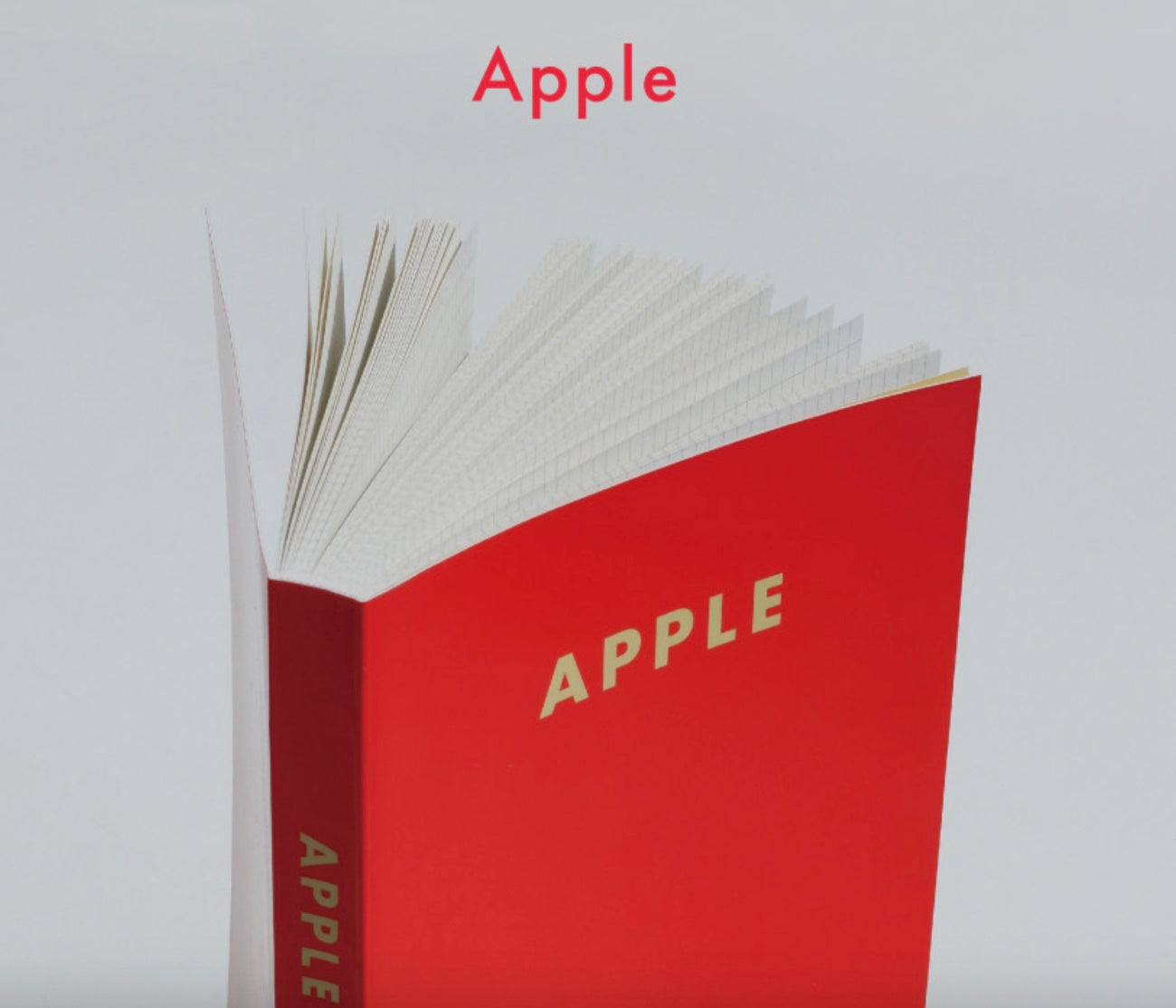 Fruit Notebook A6 · Fruit Fries
