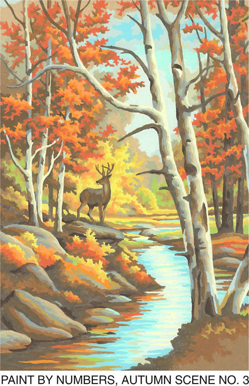 Paint By Numbers, Autumn Scene / Vintage Image Postcard