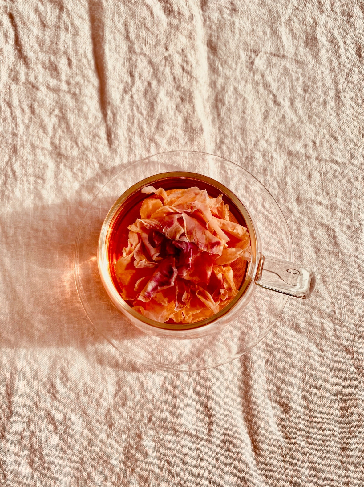 TShangri-La Rose · The Qi Herbal Tea