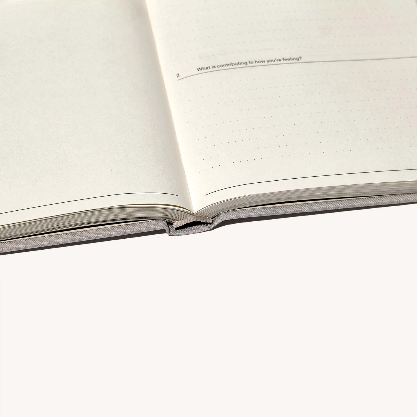 The Therapy Journal · Therapy Notebooks