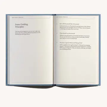 The Anti-Anxiety Notebook ·Therapy Notebooks