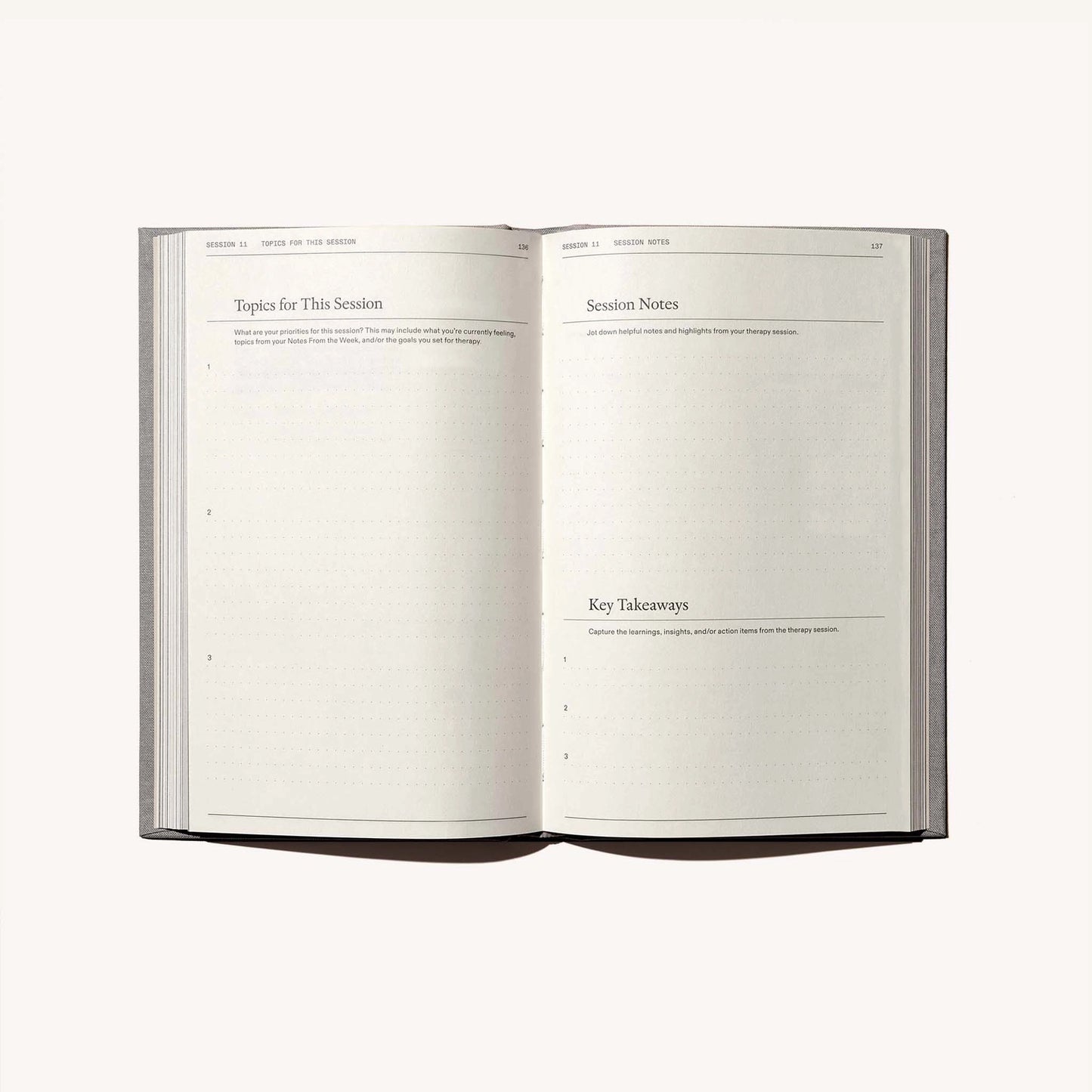 The Therapy Journal · Therapy Notebooks