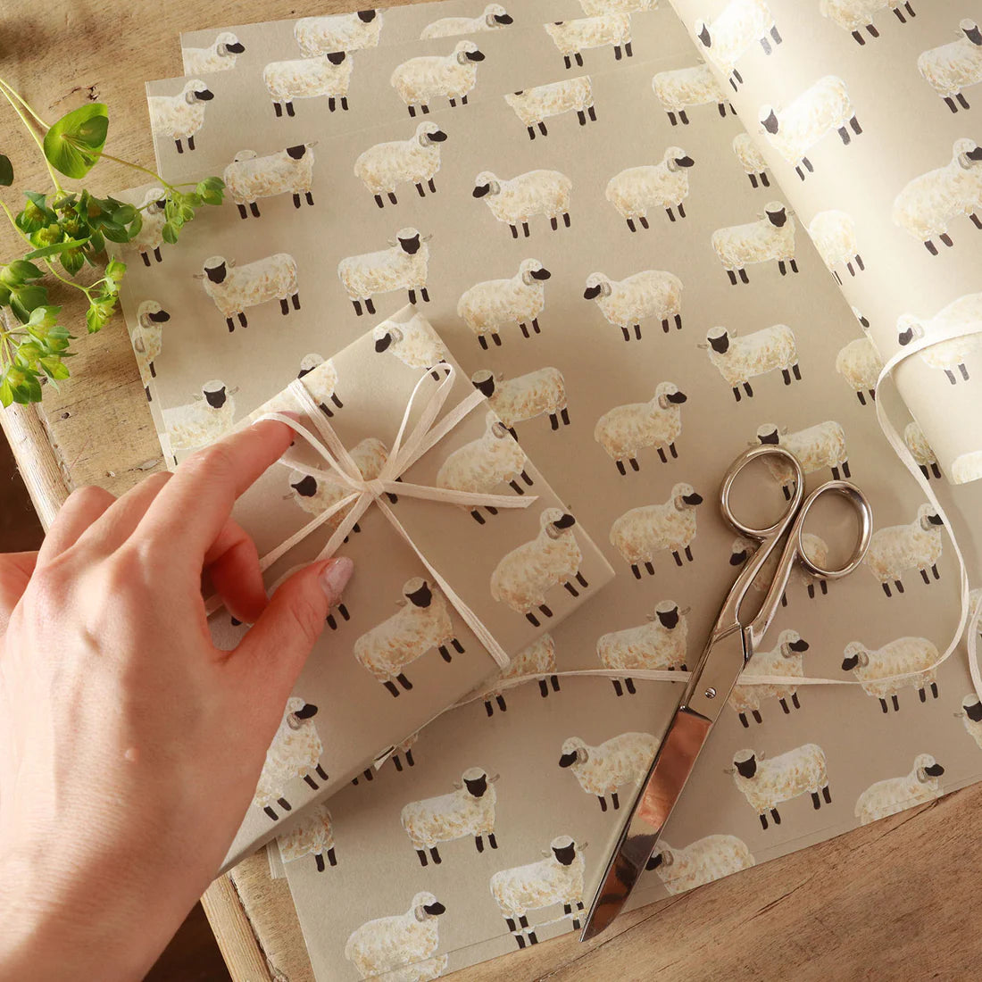 Sheep Pattern Wrapping Paper · Regaro Papiro