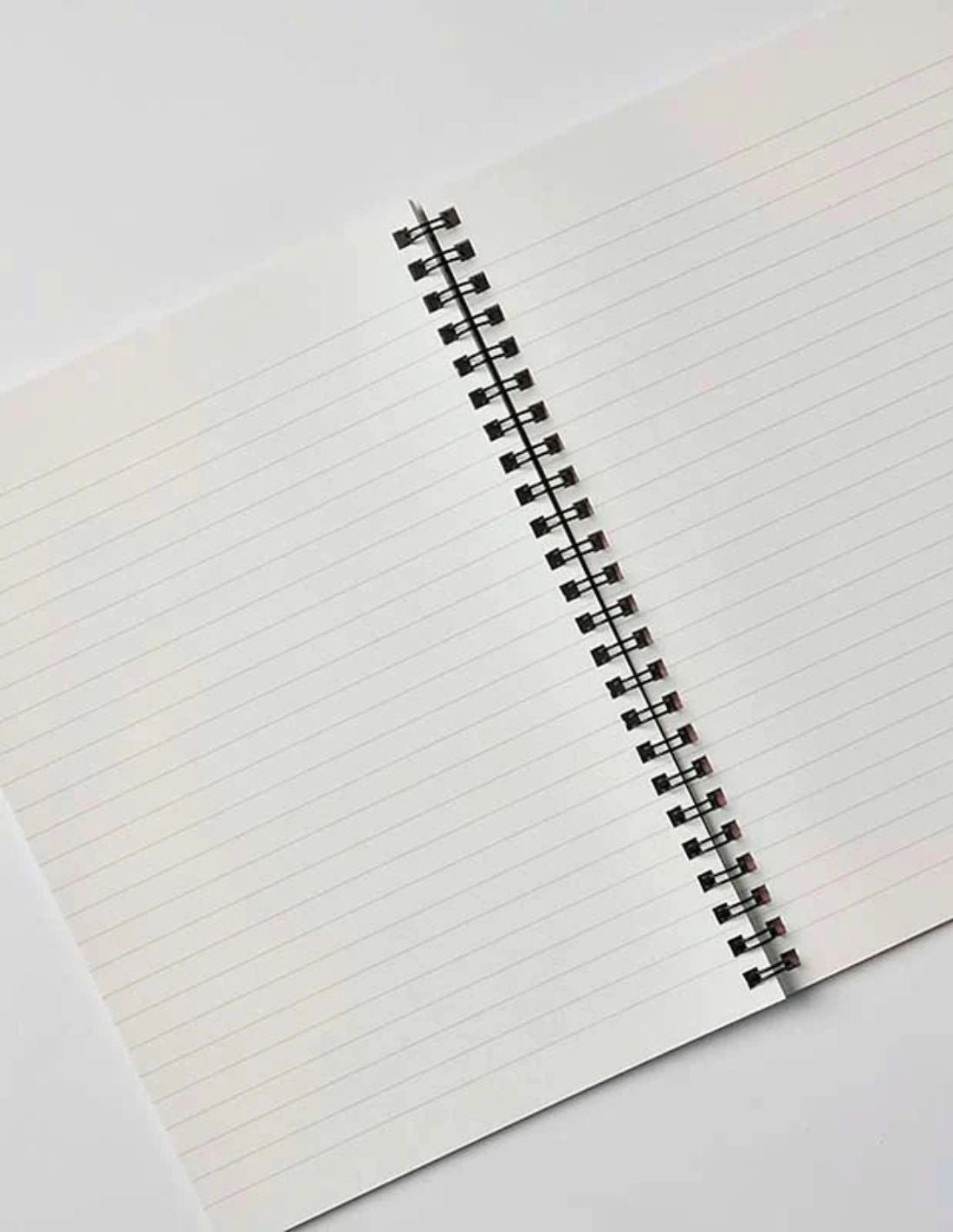 C.D. Notebook Twin Ring (Limited Edition) · Apica