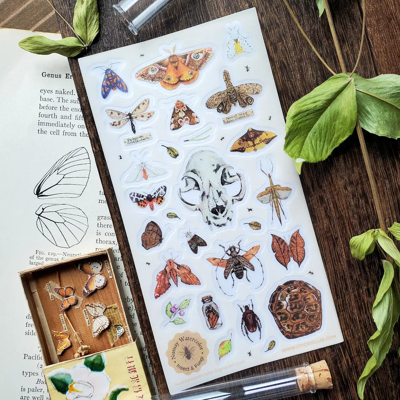 Nature Study Sticker Sheet · STICKII