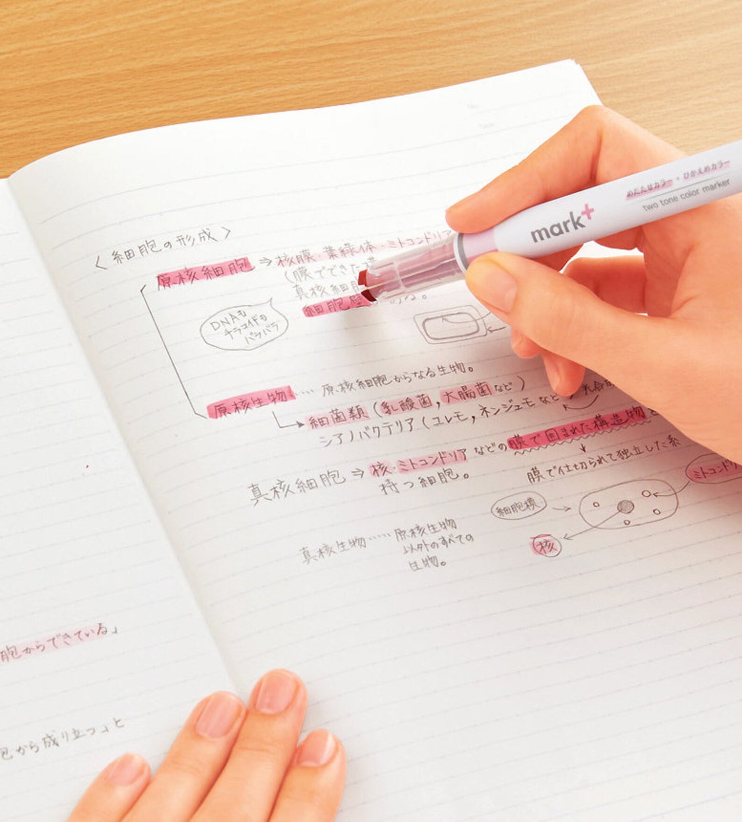 Kokuyo Mark+ Dual Tone Highlighter
