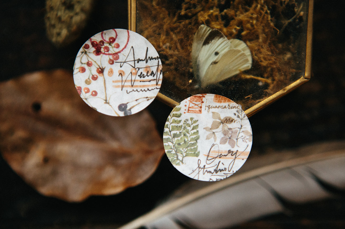 Ferns Transfer Sticker Sheet · OURS Studio