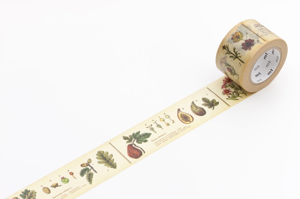 mt ex Washi Tape - Plant Encyclopedia