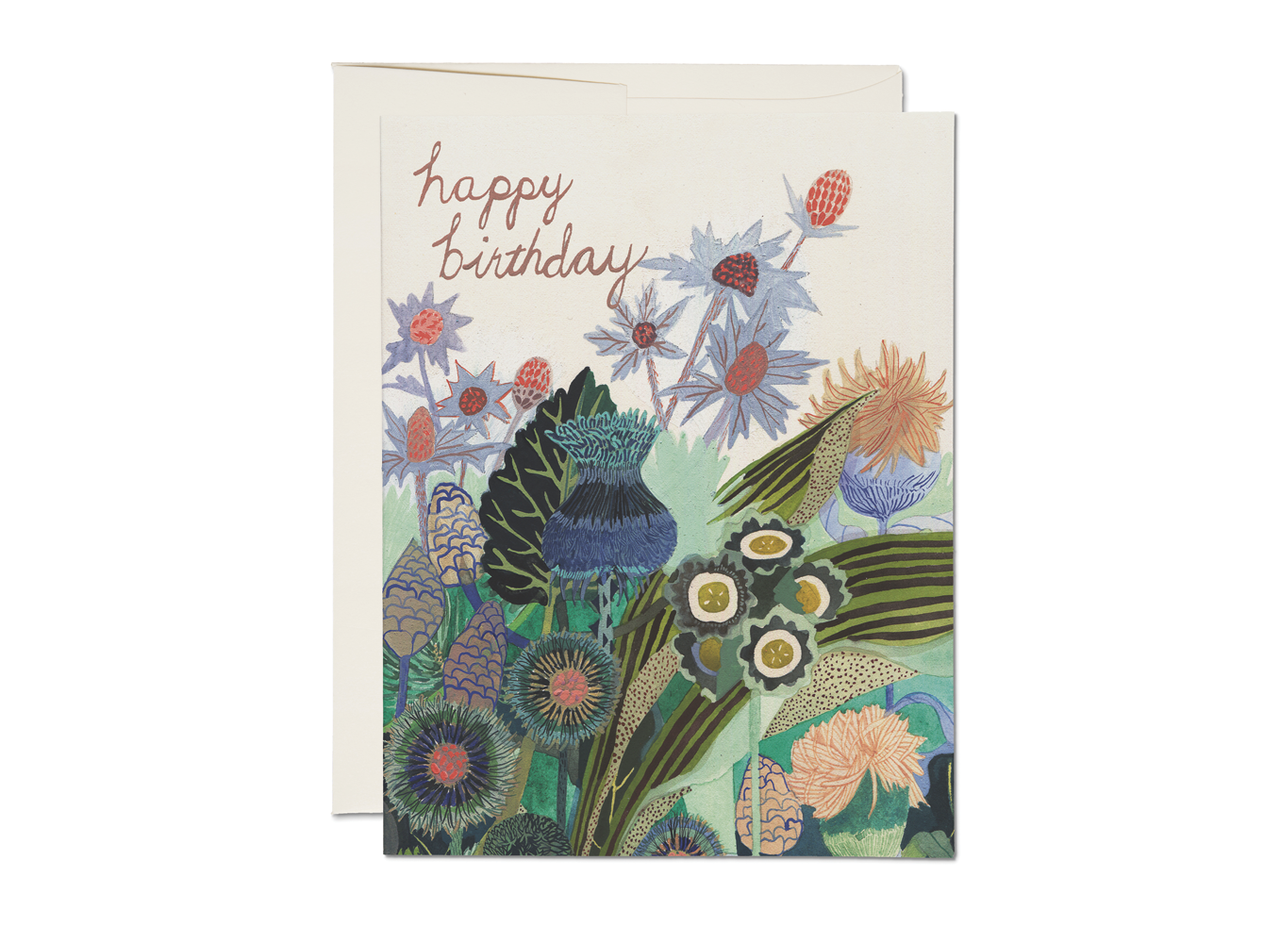 Thistle Birthday Greeting Card · Red Cap Cards