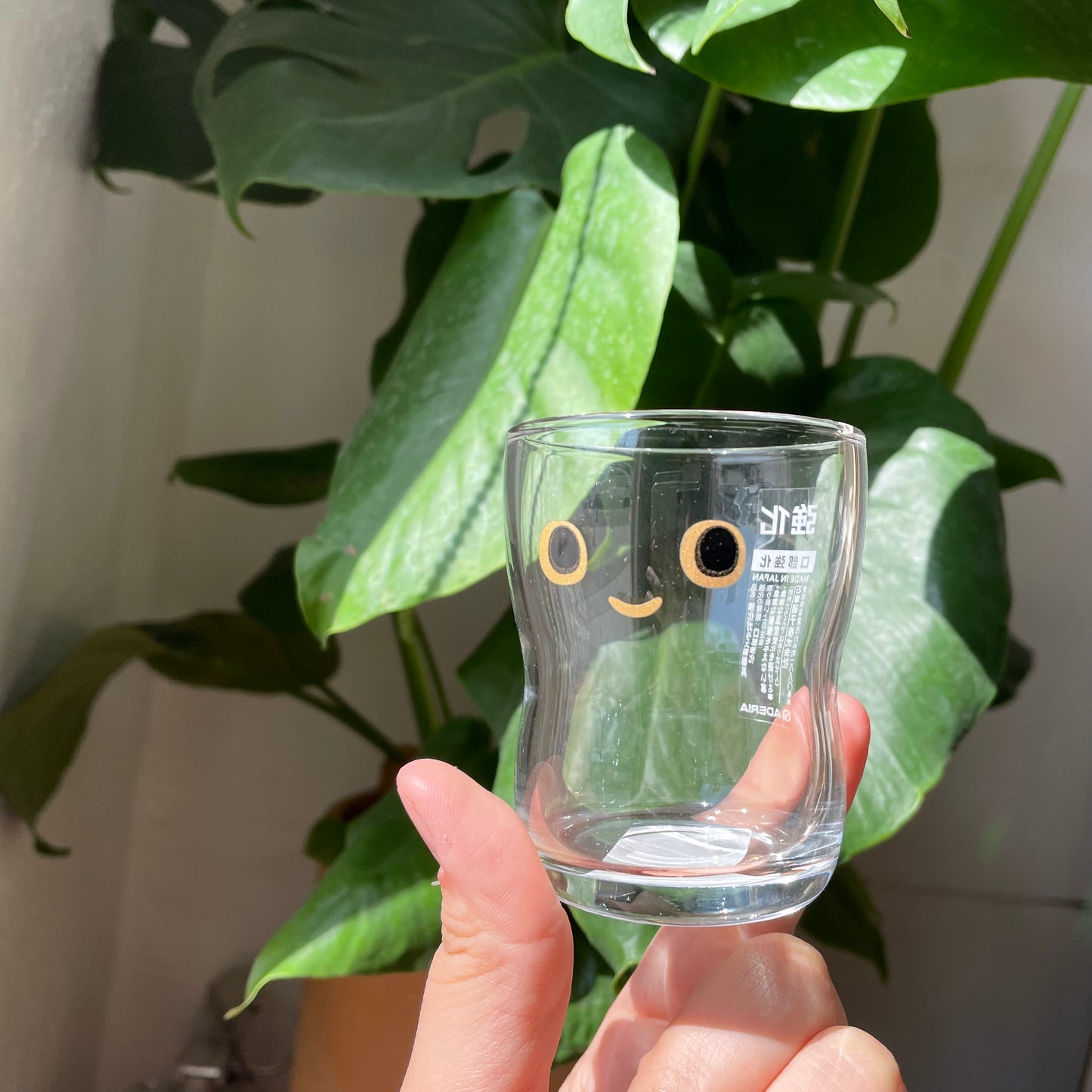 Tsuyoiko ADERIA Glassware Cup