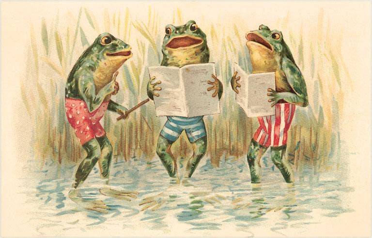 Singing Frogs Vintage Postcard