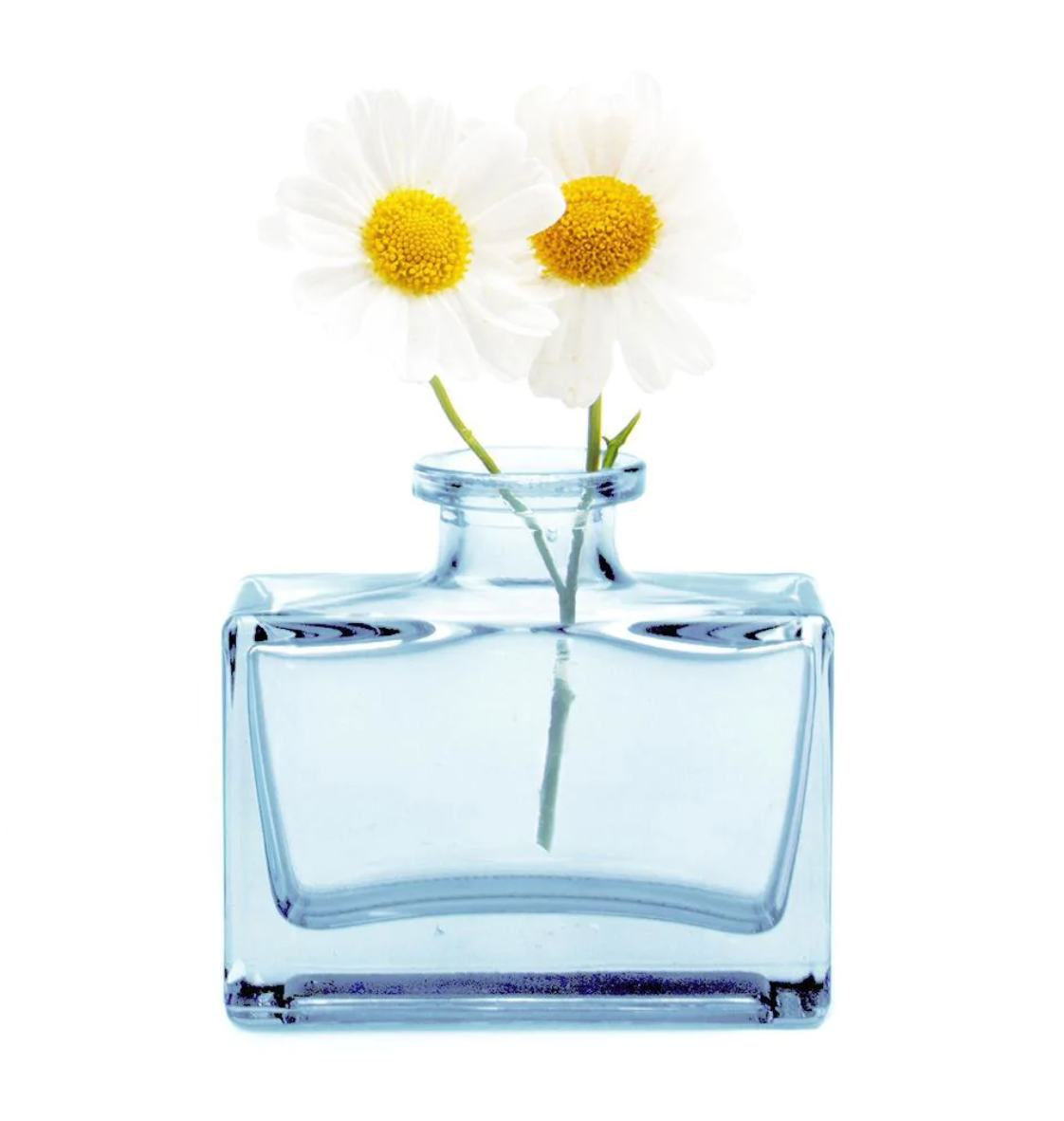 Loft Vase - Assorted Colors
