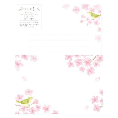 Sakura & Nightingales Today's Letter Set · Furukawashiko
