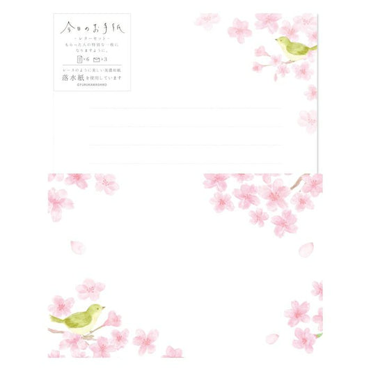 Sakura & Nightingales Today's Letter Set · Furukawashiko