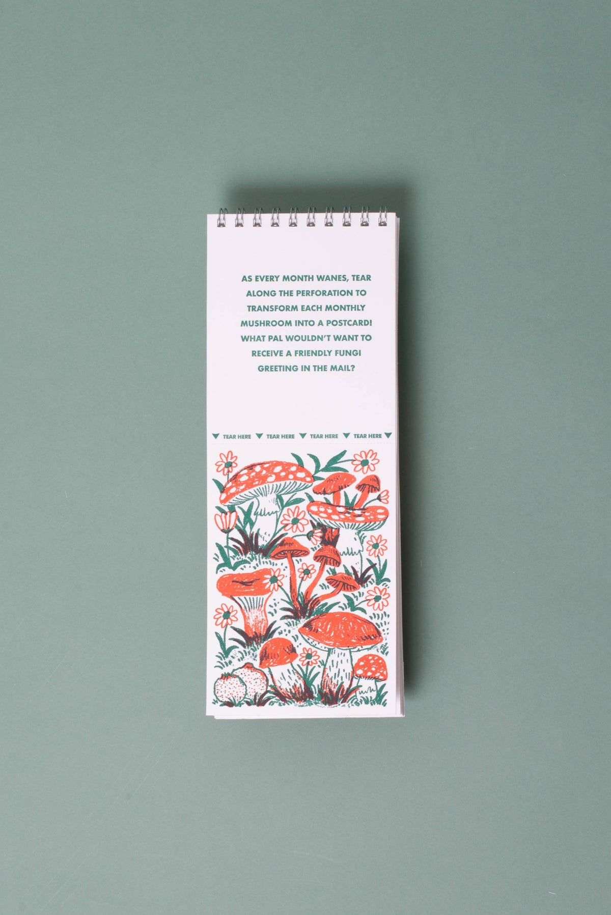 2027 Gnomes & Mushrooms Postcard Wall Calendar · Phoebe Wahl & Egg Press