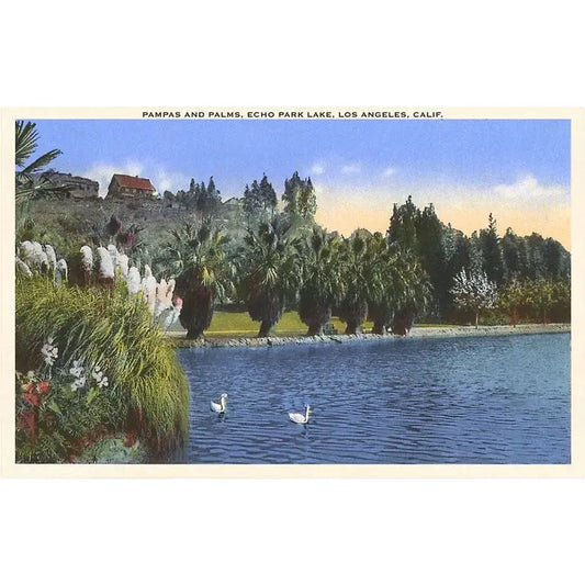 Lake At Echo Park · Vintage Image Postcard