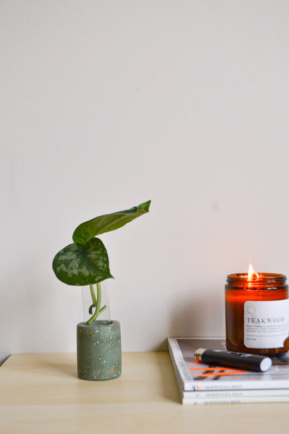 Zero Waste Terrazzo Single Propagation Test Tube Plant Stand: Peach