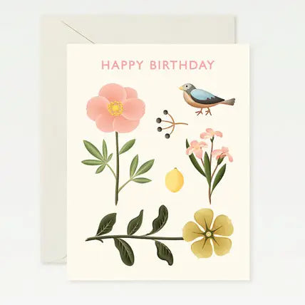 Sparrow Botanical Birthday Card  · Clap Clap