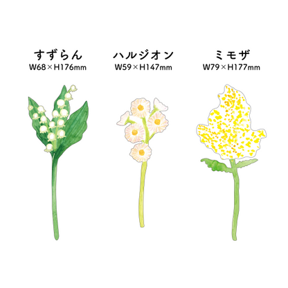 Single Flower Card · Paper Message