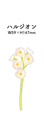 Single Flower Card · Paper Message