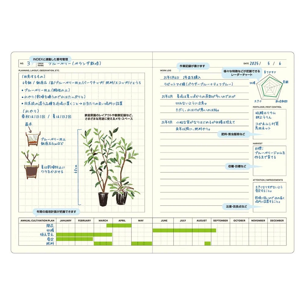 B6 Green Style Notebook · Laconic