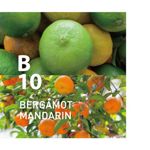 Bergamot Mandarin B10 Essential Oil · At-Aroma