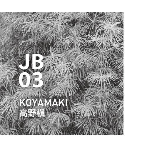 Koyamaki Japanese Botanical 03 Essential Oil · At-Aroma