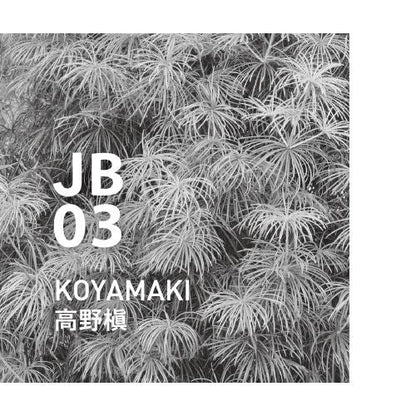 Koyamaki Japanese Botanical 03 Essential Oil · At-Aroma