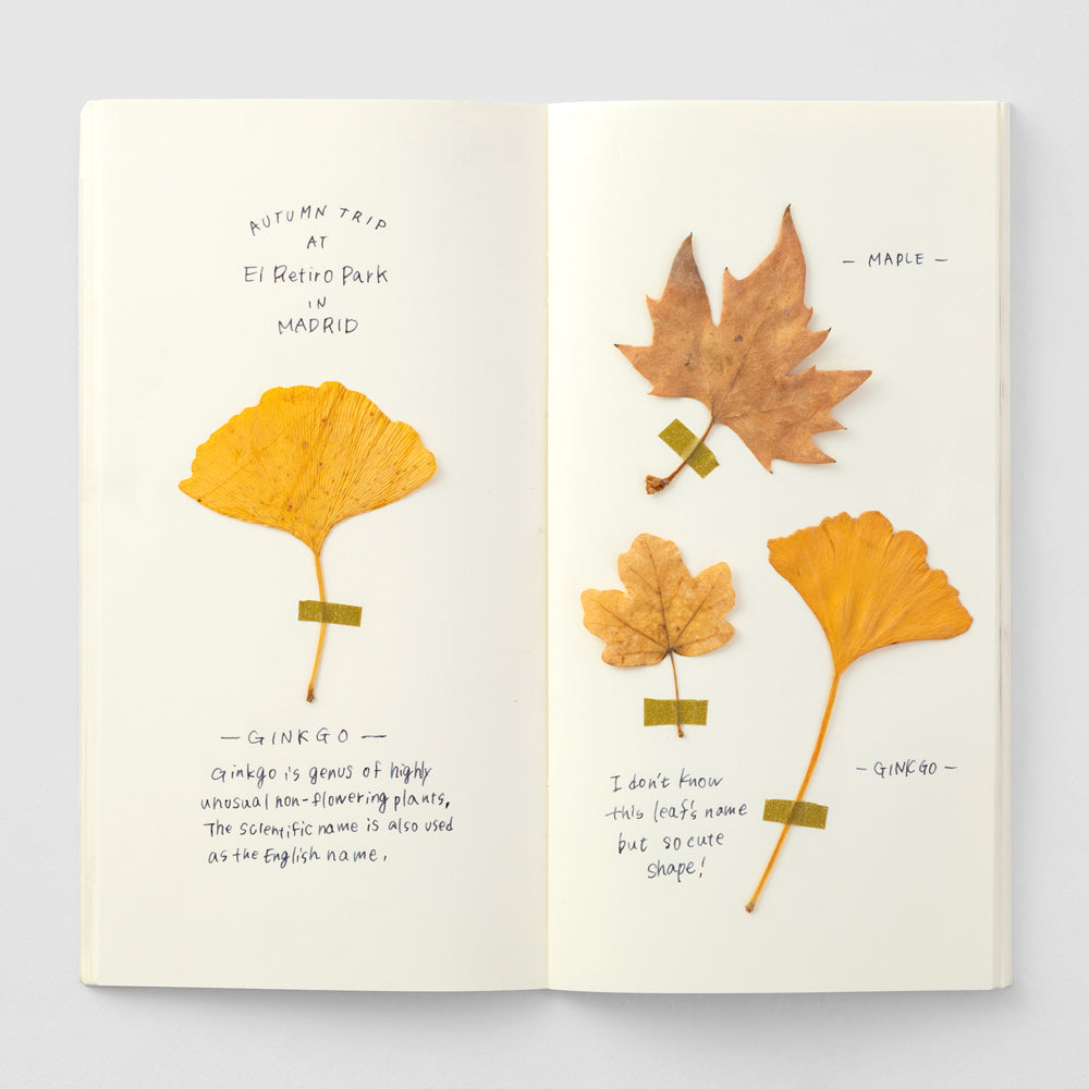 TN Refill / 025 MD Paper Cream Notebook