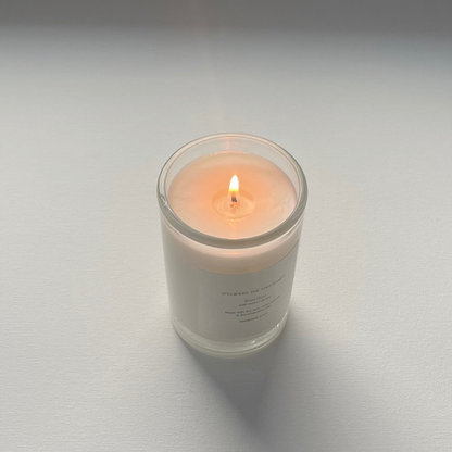 Red Clay, Amber + Musk Handcrafted Soy Candle · Species by the Thousands