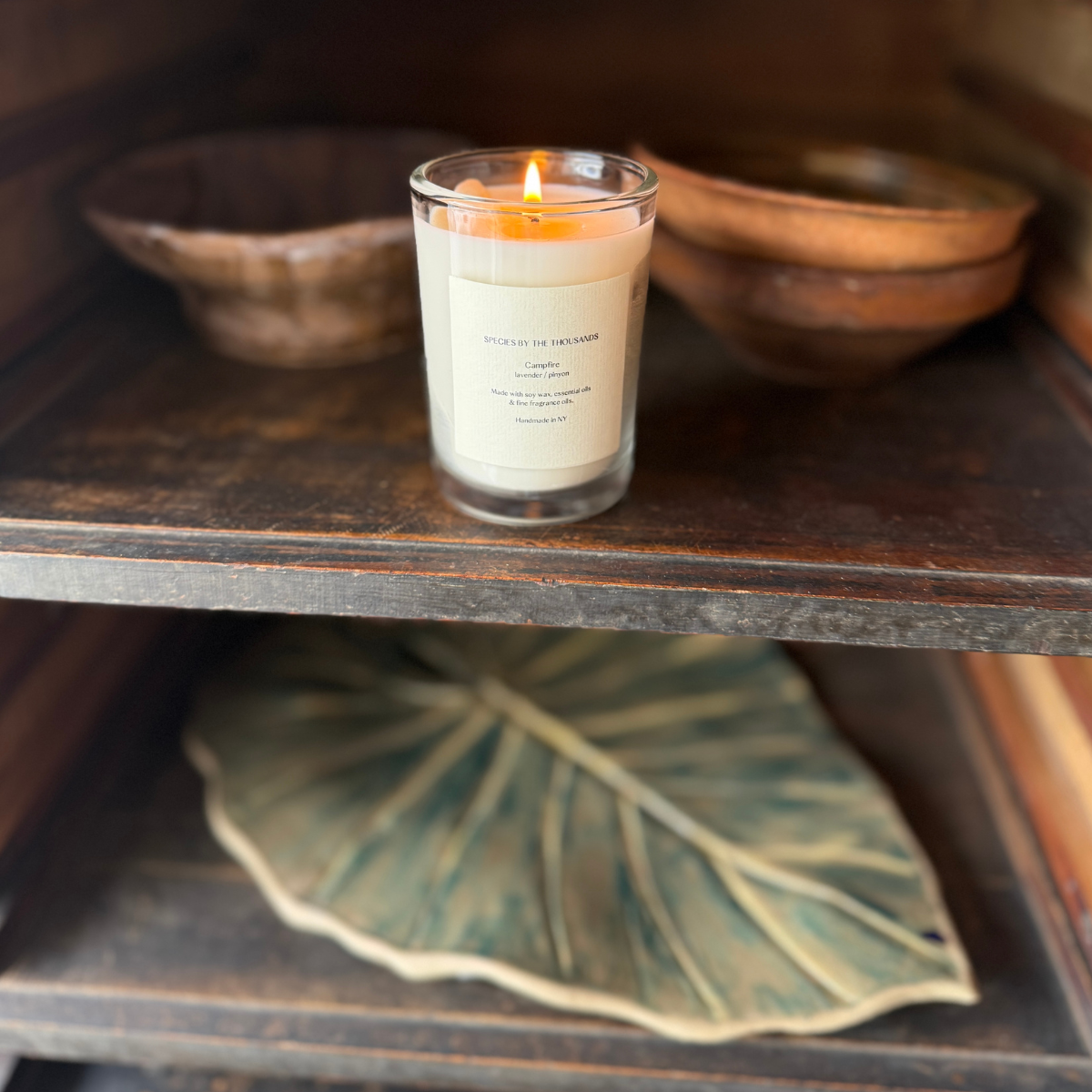 Campfire, Pinyon + Lavender Handcrafted Scented Soy Candle · Species by the Thousands