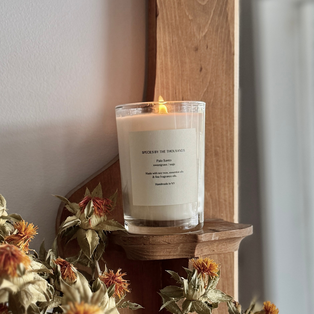 Palo Santo, Sweetgrass + Sage Handcrafted Scented Soy Candle · Species by the Thousands