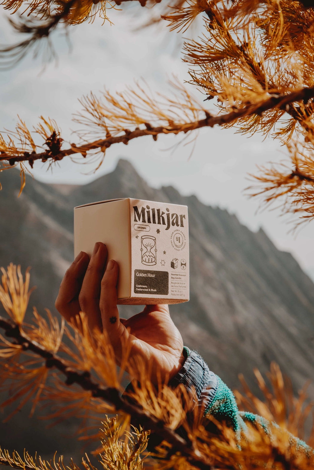 Golden Hour - Cashmere, Cedarwood Coconut Soy Candle · Milk Jar Candle Co.