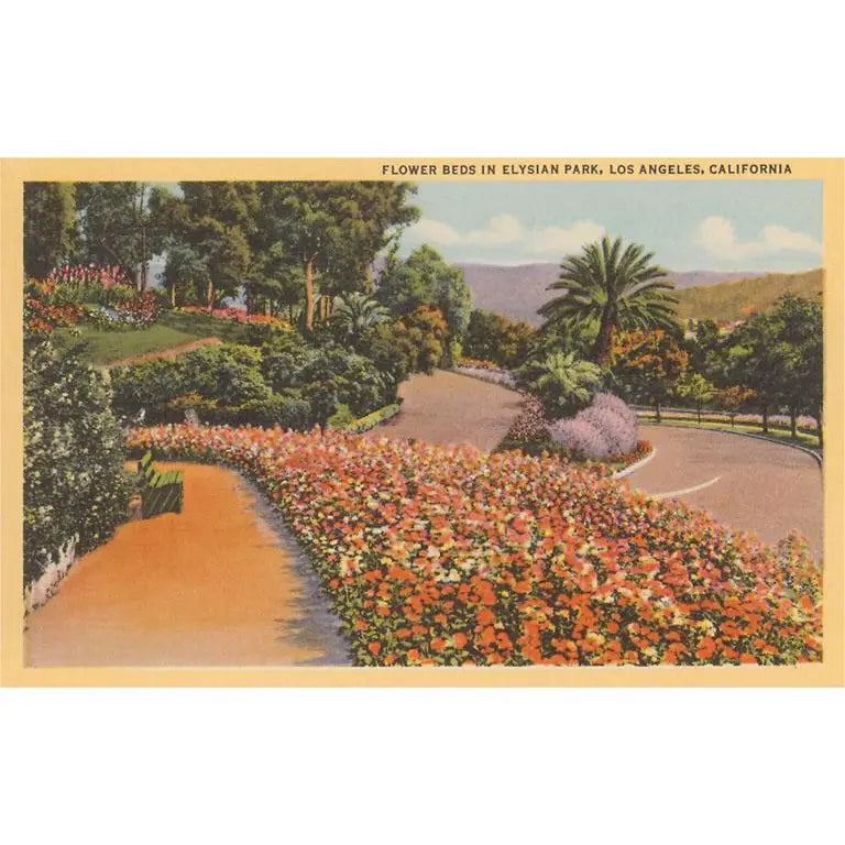 Elysian Park Flower Beds · Vintage Image Postcard