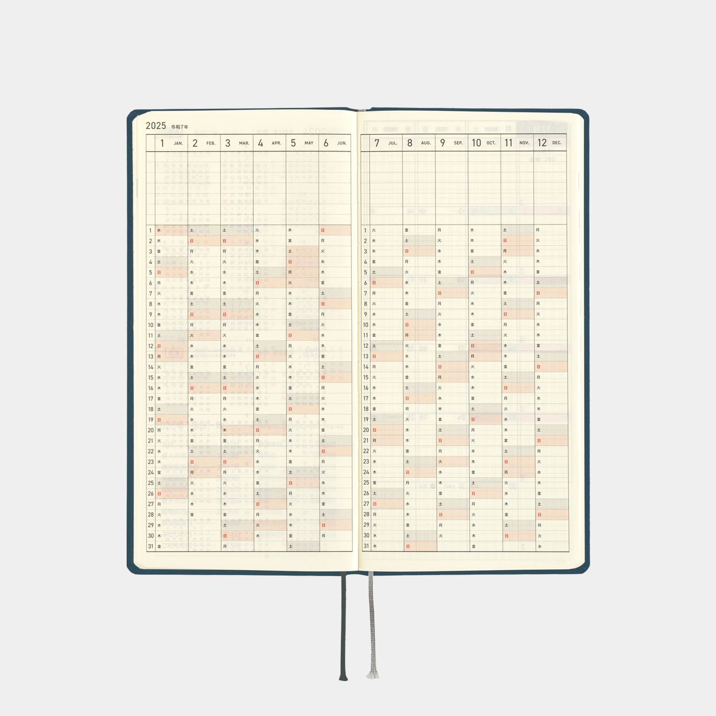 Colors: Star Dust · 2025 Japanese Hobonichi Techo Weeks