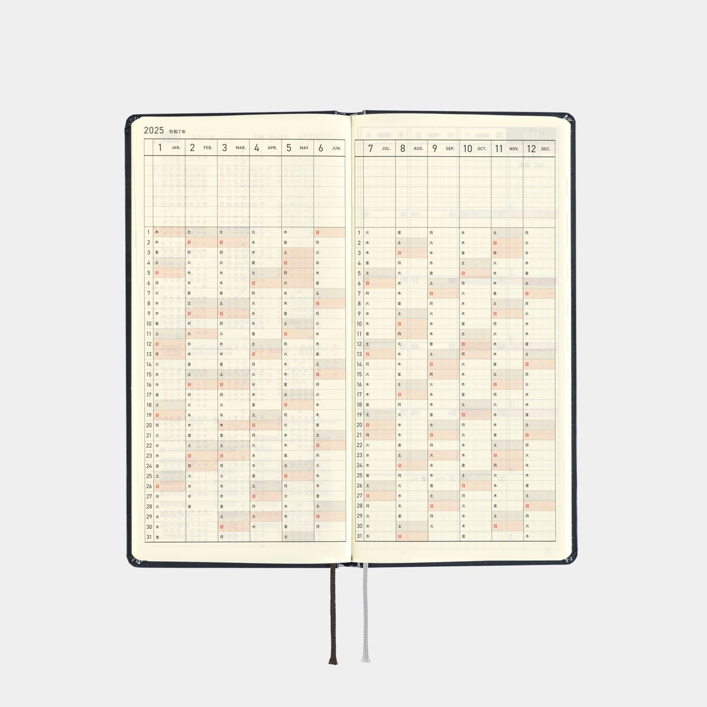 Hiroko Kubota: Night Cherry Blossom Snow Globe · 2025 Japanese Hobonichi Techo Weeks