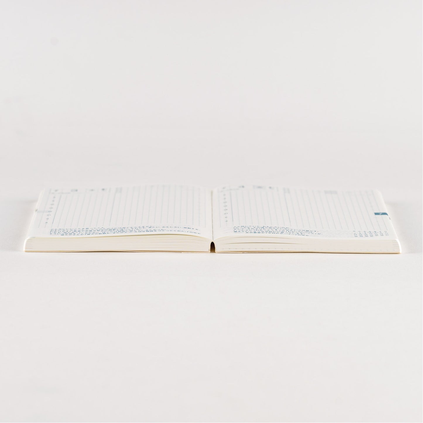 2025 Hobonichi Techo Japanese Original Book (January Start)