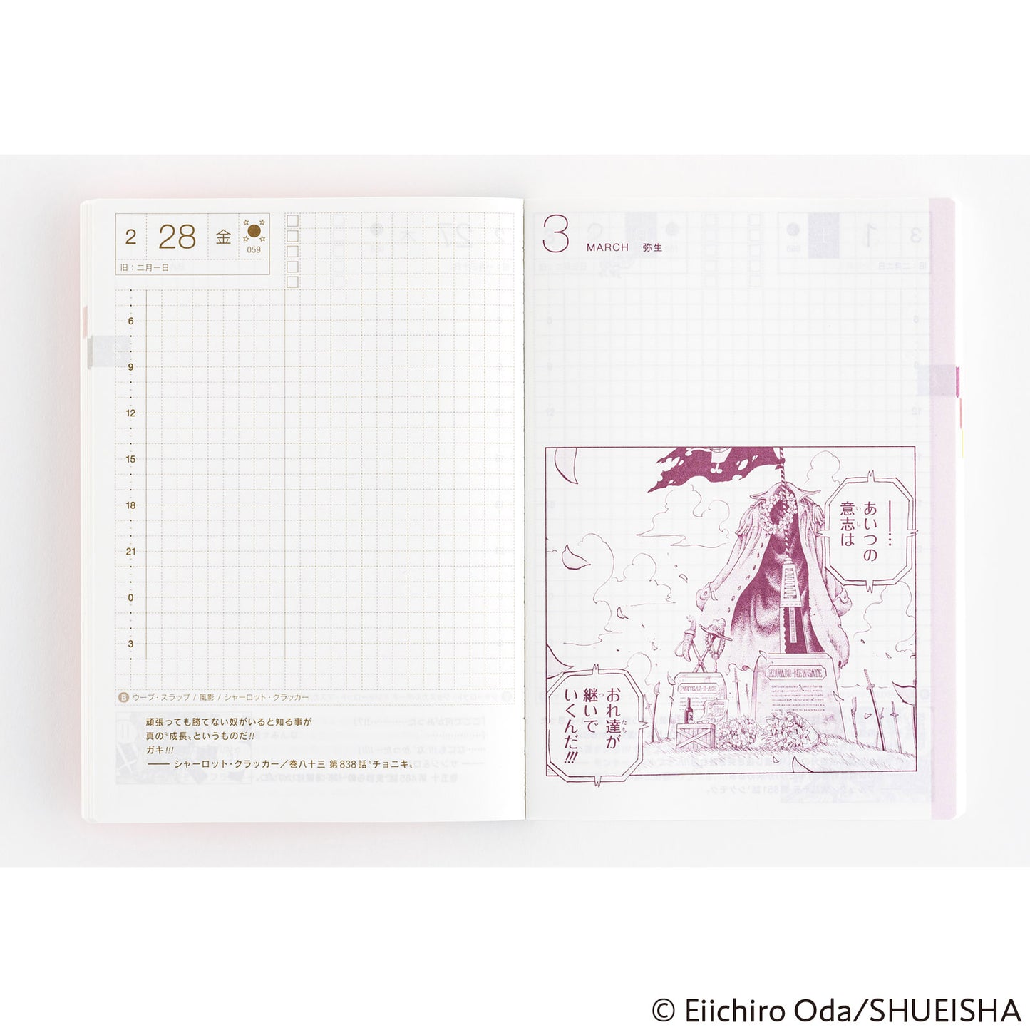 2025 One Piece Edition Hobonichi Techo Japanese Original Book (January Start)