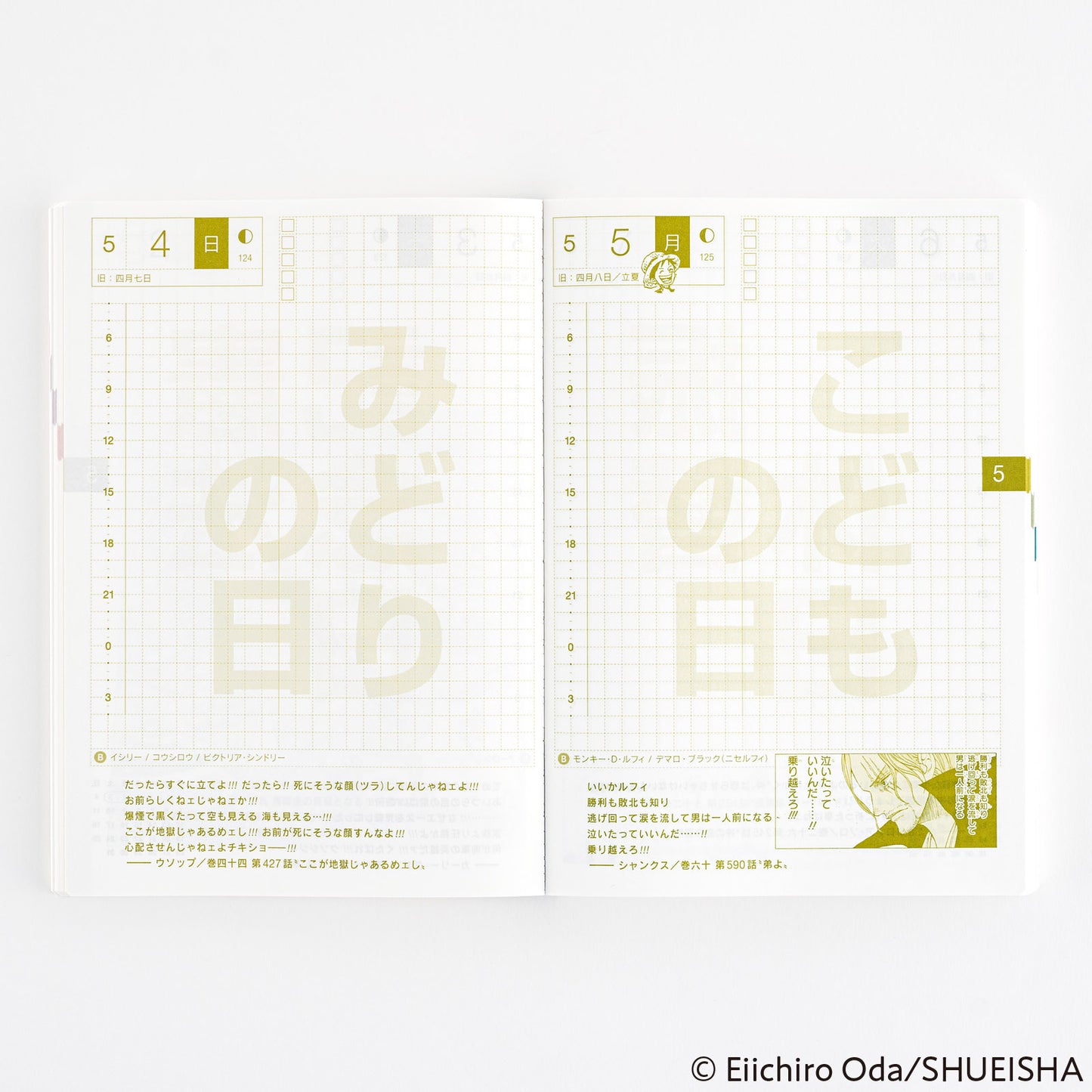 2025 One Piece Edition Hobonichi Techo Japanese Original Book (January Start)