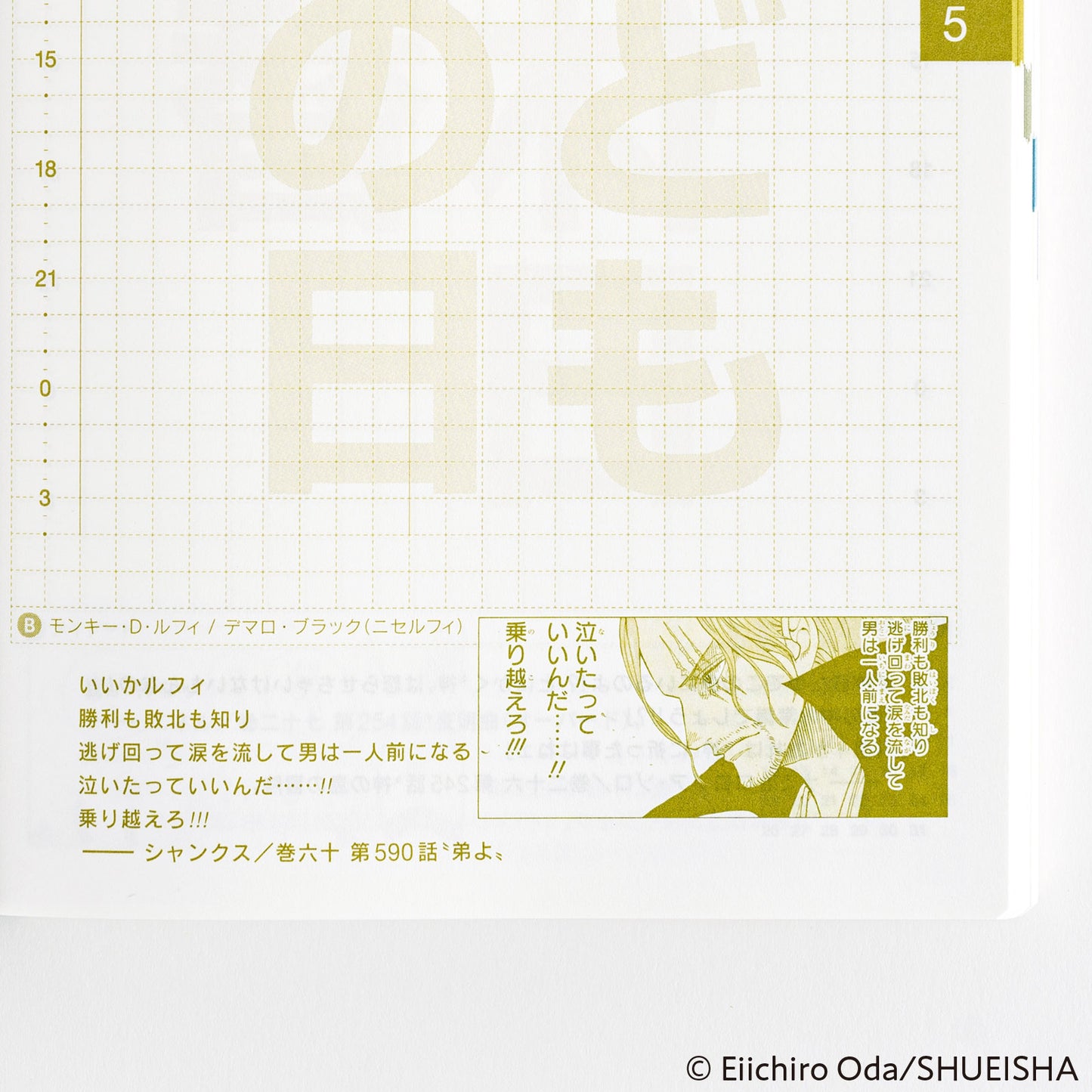 2025 One Piece Edition Hobonichi Techo Japanese Original Book (January Start)