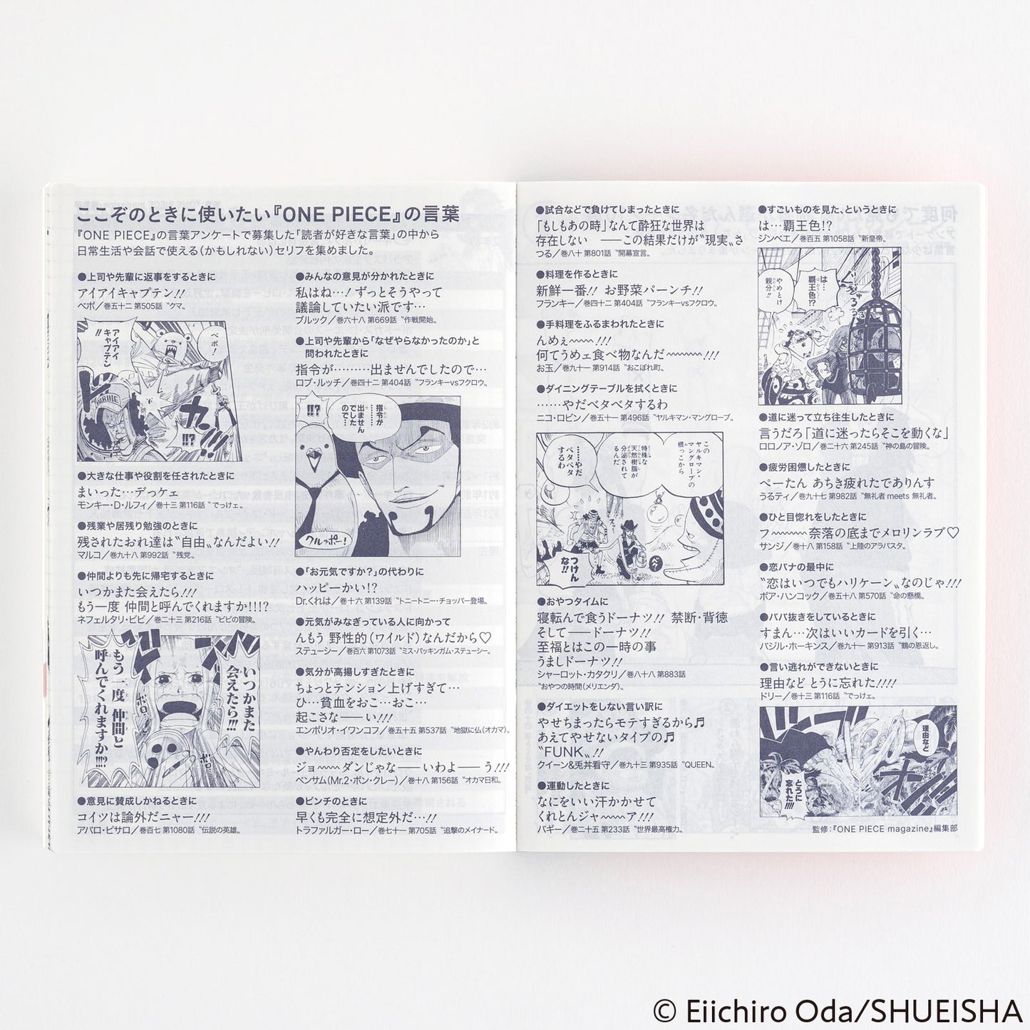 2025 One Piece Edition Hobonichi Techo Japanese Original Book (January Start)